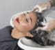 Pravana: Purify and revive