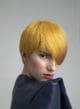 Matteo Susini, Spotlight On